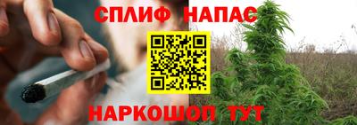 крисы Кулебаки