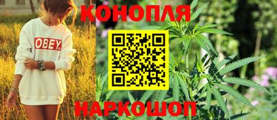 крисы Кулебаки