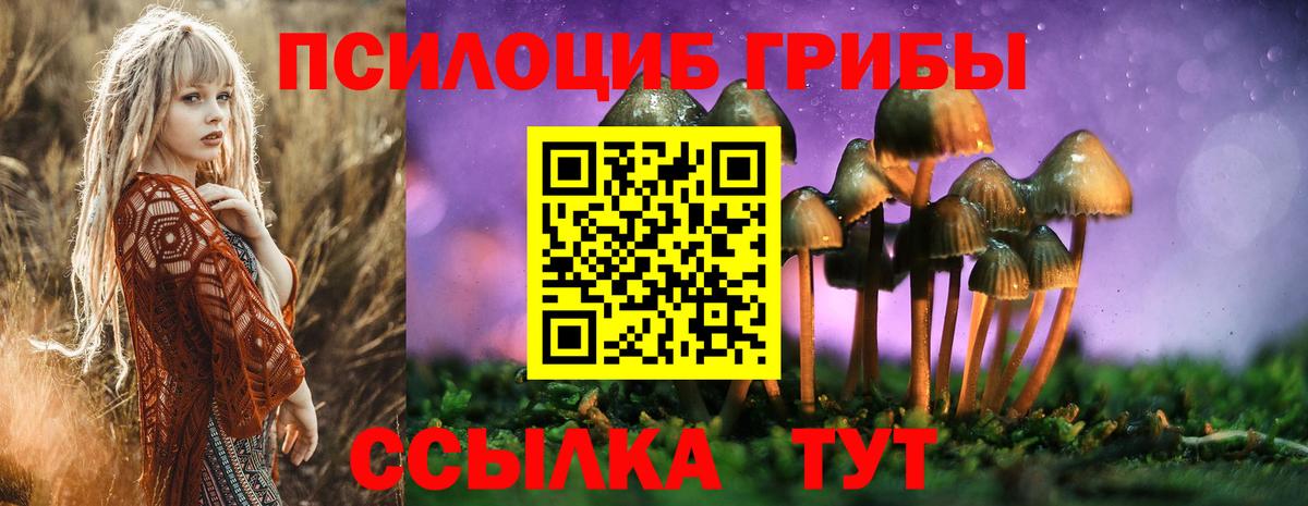 Гурьевск  Галлюциногенные грибы Psilocybine cubensis  Вход с VPN 