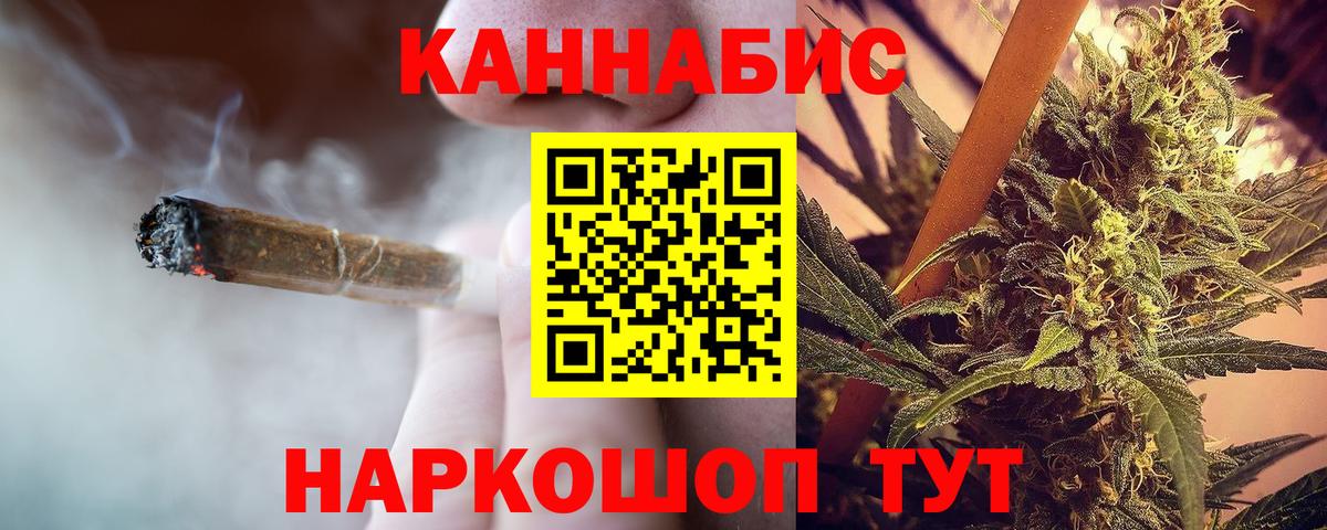 Бошки марихуана сатива Гурьевск
